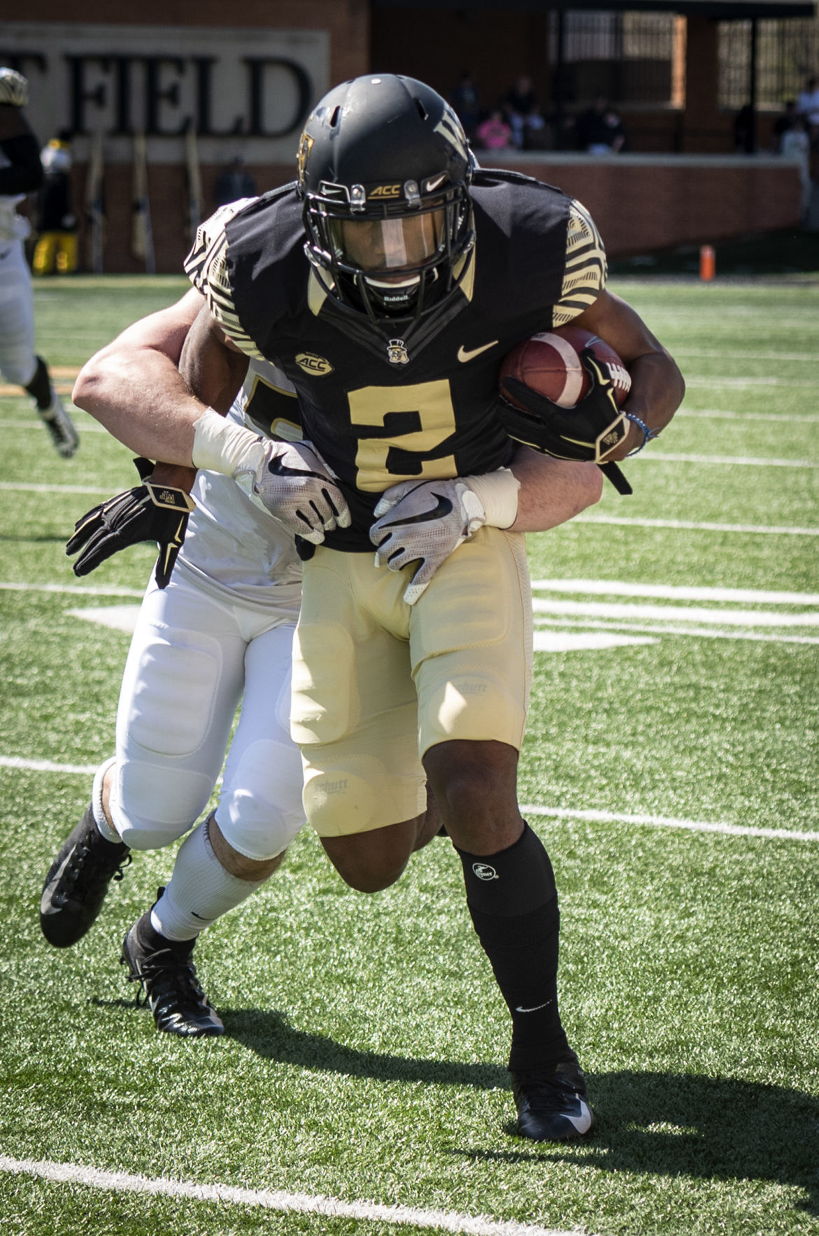 WFUSpring